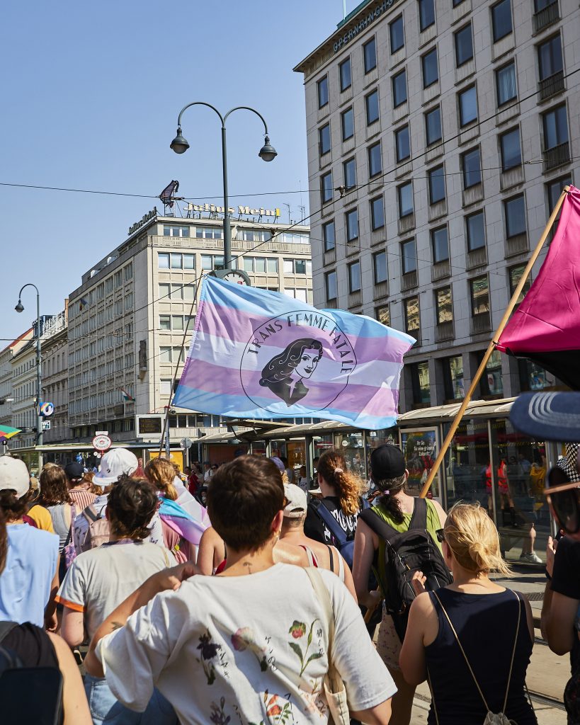 Demonstration mit Trans Femme Fatale Fahne